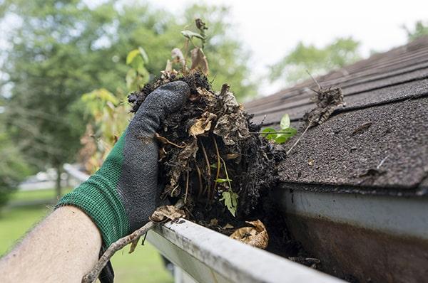 neglecting regular gutter cleaning can lead to water damage, mold growth, and structural issues